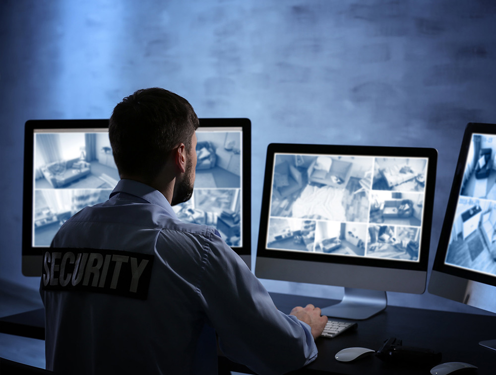 Vigilancia monitoreo